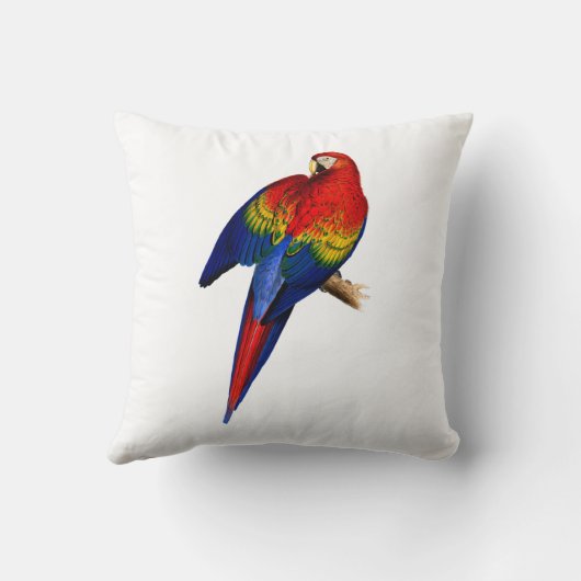 緋色のマカオ熱帯カラフル熱帯雨林鳥 クッション (裏面)