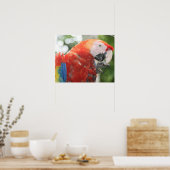 緋色のマカオ足 ポスター (キッチン)