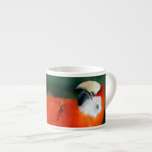 緋色のマカオ エスプレッソカップ (正面右)