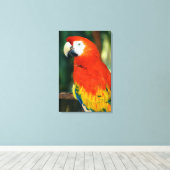 緋色のマカオ キャンバスプリント (インサイチュ (ウッドフロア))