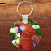 緋色のマカオ キーホルダー (正面)