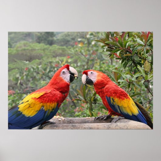 緋色のマカオ ポスター (正面)