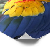 緋色のマカオ ポスター (角)