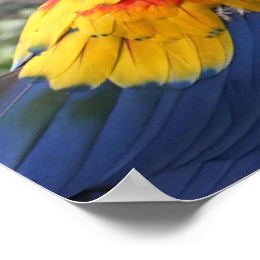 緋色のマカオ ポスター (角)