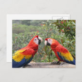 緋色のマカオ ポストカード (正面/裏面)