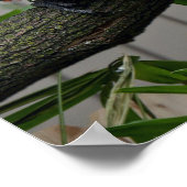 緋色のマカーズ ポスター (角)