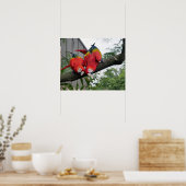 緋色のマカーズ ポスター (キッチン)