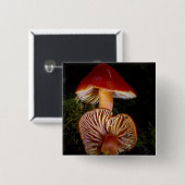 緋色のワックスキャップ 缶バッジ (正面&裏面)