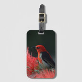 緋色の精巣鳥エキゾチック ラゲッジタグ (正面縦)