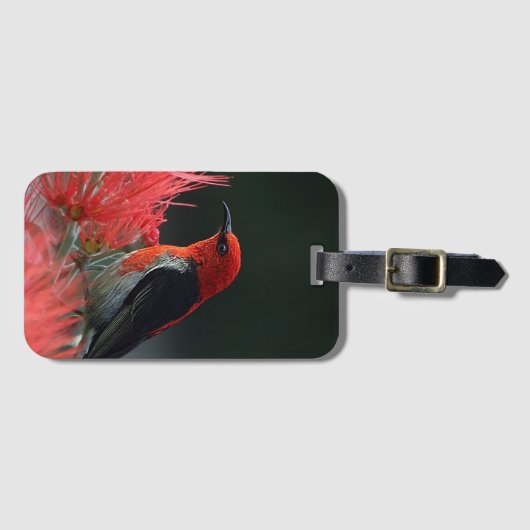 緋色の精巣鳥エキゾチック ラゲッジタグ (正面横)