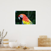 緋色の縁どマカオ ポスター (キッチン)