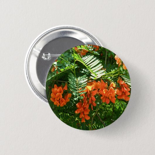 緋色の藤(セスバニアプニセア) OBXボタン 缶バッジ (正面&裏面)