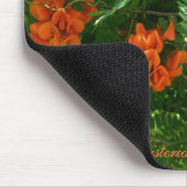 緋色の藤(セスバニアプニセア) OBX NCシリーズ マウスパッド (コーナー)