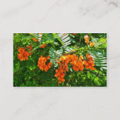 緋色の藤(Sesbania punicea)名刺 名刺 (裏面)