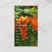 緋色の藤(Sesbania punicea)名刺 名刺 (正面)