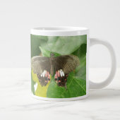 緋色アゲハチョウバタフライマグ ジャンボコーヒーマグカップ (右)