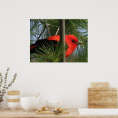 緋色オタネガー ポスター (キッチン)