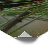 緋色オタネガー ポスター (角)