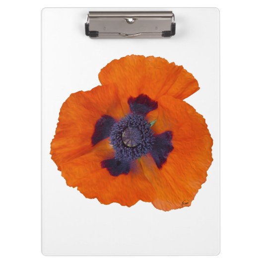 緋色オレンジポピー1 クリップボード (正面)
