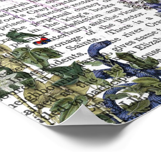 緋色ザル ポスター (角)