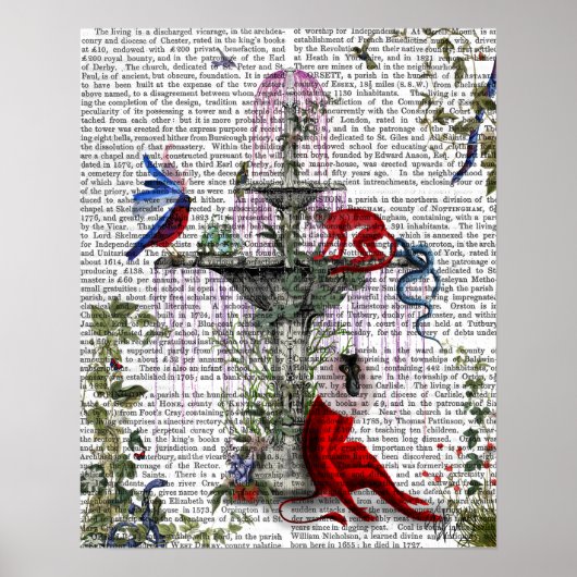 緋色ザル ポスター (正面)