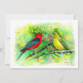 緋色タネジャースウォーター色鉛筆スケッチ ノートカード (正面)