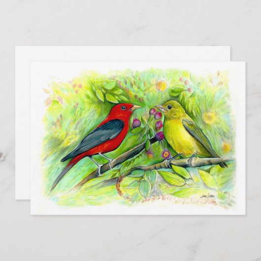 緋色タネジャースウォーター色鉛筆スケッチ ノートカード (正面/裏面)