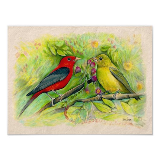 緋色タネジャースウォーター色鉛筆スケッチ フォトプリント            (正面)