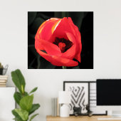 緋色チューリップ ポスター (ホームオフィス)