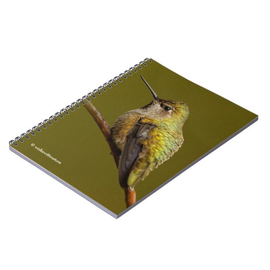 緋色トランペツネのアンナのハミングバード ノートブック (左側)