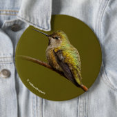 緋色トランペツネのアンナのハミングバード 缶バッジ (インサイチュ)