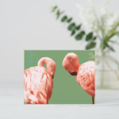 緋色フラミンゴ ポストカード (スタンド正面)