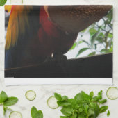 緋色マカオパロッ食べトズトースト キッチンタオル (折り畳み)