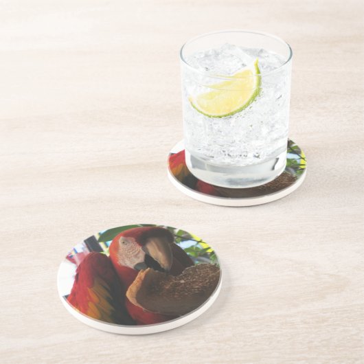 緋色マカオパロッ食べトズトースト コースター (側面)