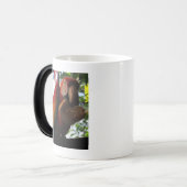 緋色マカオパロッ食べトズトースト モーフィングマグカップ (正面左)