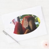 緋色マカオパロッ食べトズトースト 楕円形シール (封筒)