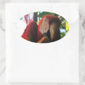 緋色マカオパロッ食べトズトースト 楕円形シール (バッグ)