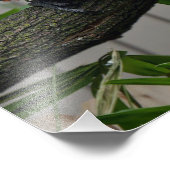 緋色マカーズII フォトプリント            (角)