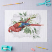 緋色マコーパロットユーカリプトゥス水色 薄葉紙 (クラフト)