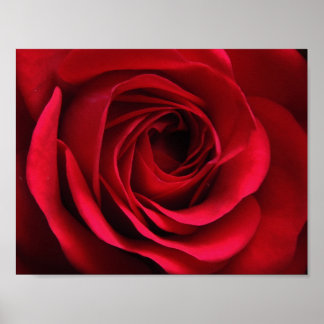 緋色マットポスター ポスター