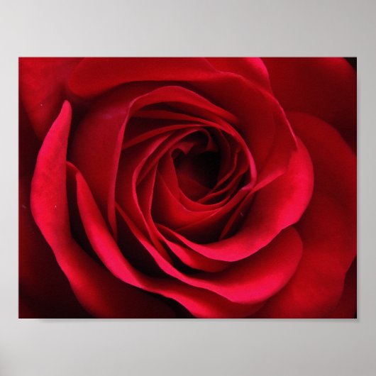 緋色マットポスター ポスター (正面)