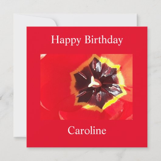 緋色レッドチューリップフラット誕生日カード カード (正面)