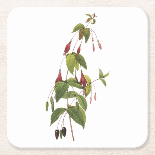 緋色明るい赤紫色(明るい赤紫色コキネア)バイレッドヴェー スクエアペーパーコースター (正面)