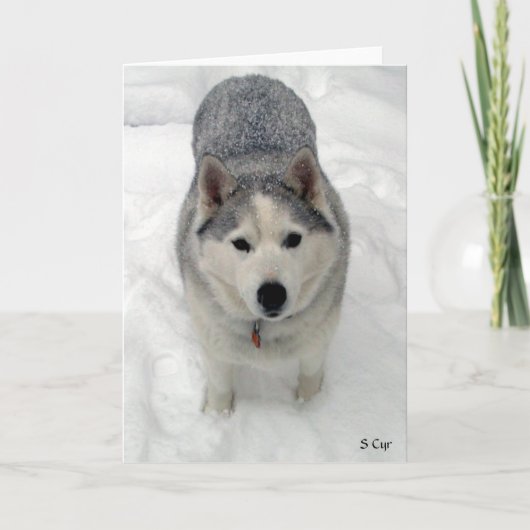 総崇敬、S Cyr カード (正面)