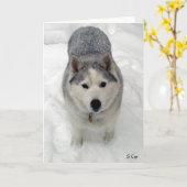 総崇敬、S Cyr カード (黄色い花)