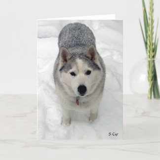 総崇敬、S Cyr カード