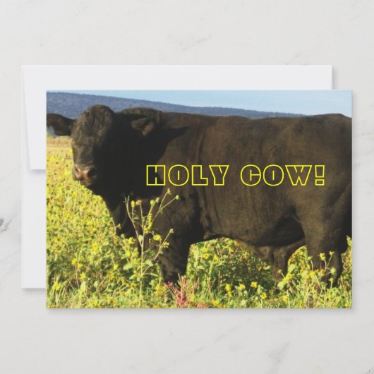 総括タイム!ホーリーカウウェスタンパーティー 招待状 (正面)