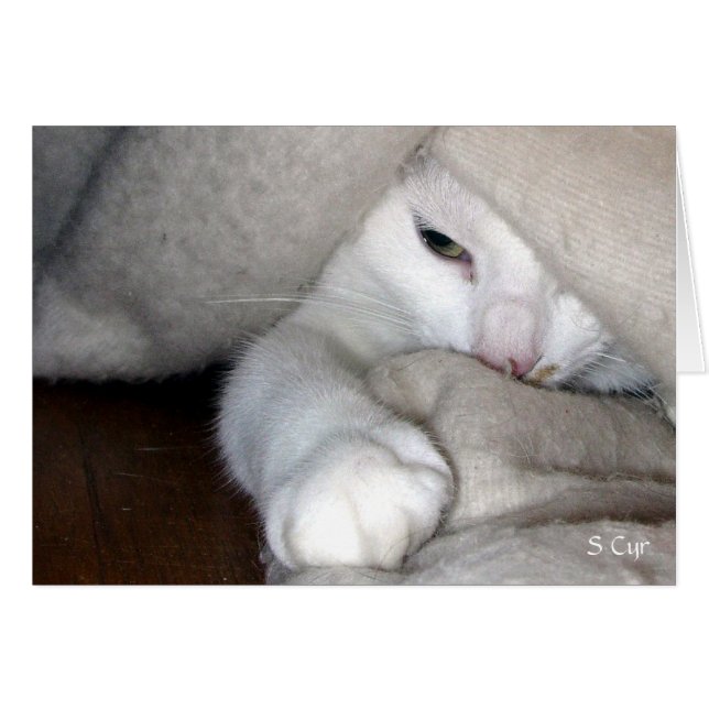 総括的なゲーム、S Cyr (正面横)