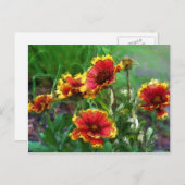 総括的な花の水彩画の郵便はがき ポストカード (正面/裏面)