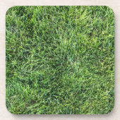 緑おもしろい実在紋様おもしろい コースター (正面)